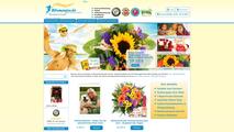 14497_screenshot-blumenfee-de.jpg
