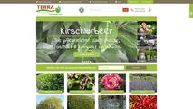 13545_screenshot-terra-pflanzenhandel-de.jpg